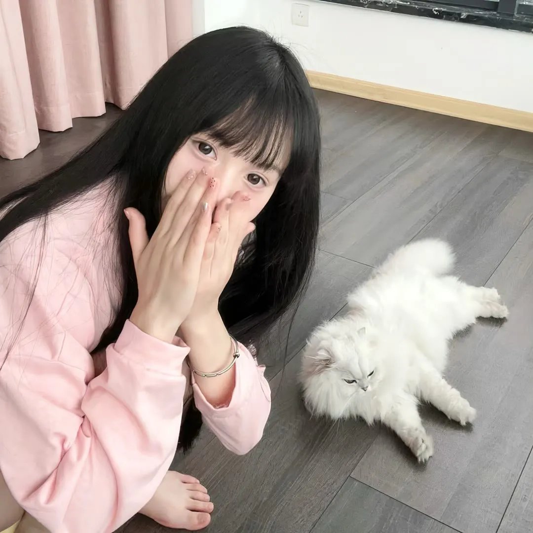 婚词离曲第三季